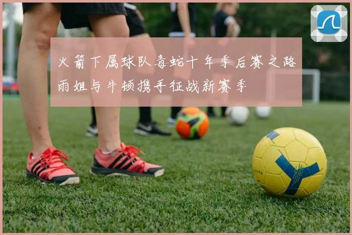 火箭下属球队毒蛇十年季后赛之路雨姐与牛顿携手征战新赛季
